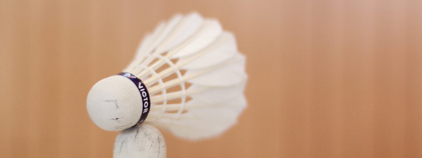 Ansicht eines Federballs