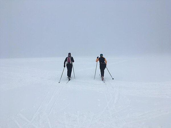 Langlauf im Erzgebirge