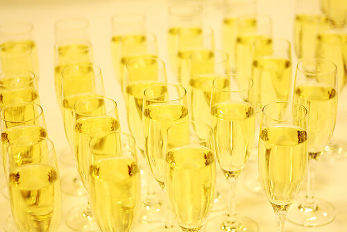 ENTFÄLLT ||  Graduierungsfeier der Fakultät Informatik und Medien 2020