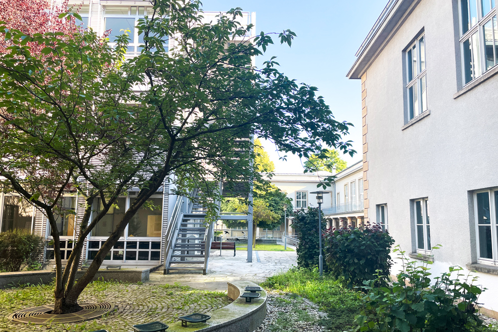 Kleiner begrünter Innenhof mit Bänken und zwei Bäumen.